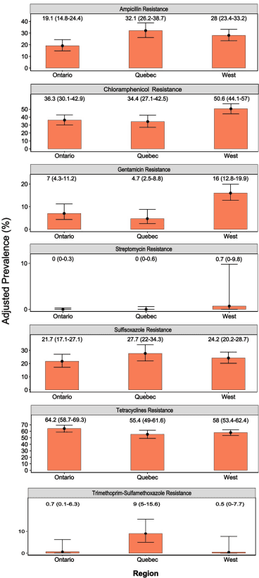 Decrease in the prevalence of antimicrobial resistance in Escherichia coli isolates of Canadian turkey flocks driven by the implementation of an antimicrobial stewardship program - Image 7