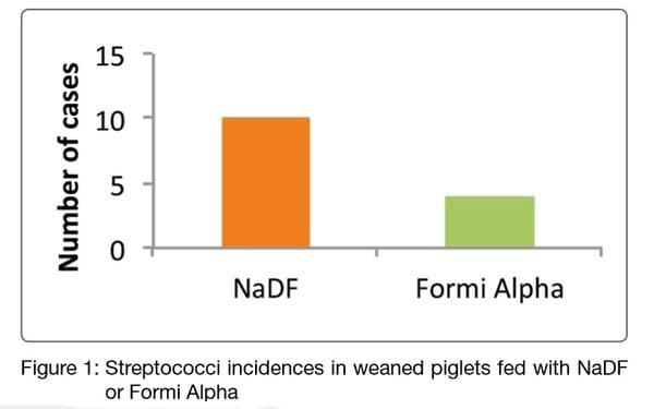 Sodium diformate and alkoloid-based feed additives on growth performance and streptococcus infection in weaned piglets - Image 1
