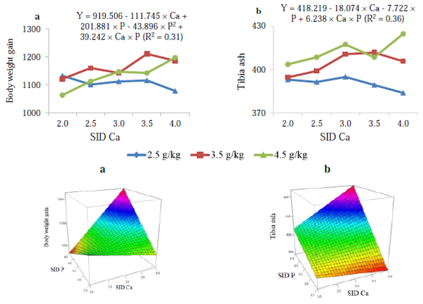 Figure 1 - Interaction and response surface plots for (a) body weight gain (g/bird) and (b) tibia ash concentration (g/kg dried defatted matter) of broiler chickens fed different standardised ileal digestible (SID) calcium (Ca) and SID phosphorous (P) concentrations (2.5, 3.5 and 4.5 g/kg) from day 25 to 35 post-hatch