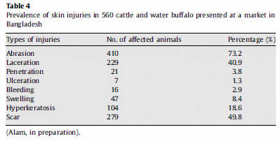 Amena-Animal Welfare at Markets and During Transport and Slaughter - Image 4