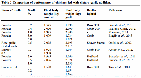 Spices and herbs in broilers nutrition: Effects of garlic (Allium sativum L.) on broiler chicken production - Image 2