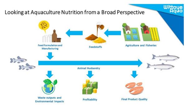 Figure 1. Animal production, such as aquaculture, rely on a complex nutritional supply chain.