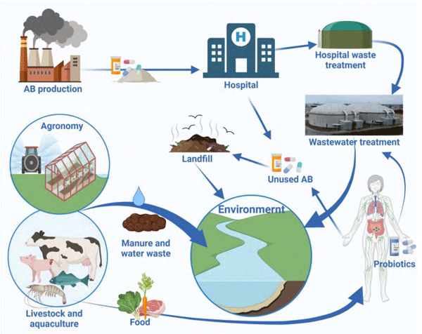 Figure 2 – Vicious cycle of AMR spread and expansion in the environment
