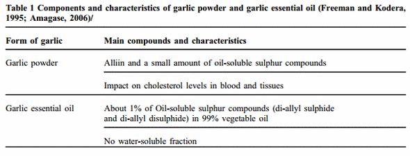 Spices and herbs in broilers nutrition: Effects of garlic (Allium sativum L.) on broiler chicken production - Image 1