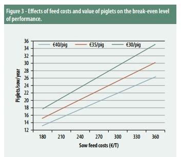 The cost of lost opportunities in sow production - Image 4