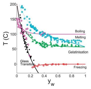Figure 2. State-phase diagram of starch showing various moisture and temperature conditions at which changes of state occur. Included in the diagram are various changes of state relevant in compound feed manufacture as e.g. the glass-transition, melt-transition line and gelatinisation line (Van der Sman and Meinders, 2010). 