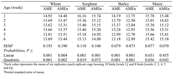 Table 1 - Apparent metabolisable energy (AME; MJ/kg DM basis)1, and nitrogen-corrected AME (AMEn; MJ/kg DM basis)1 in cereal grains as influenced by bird age