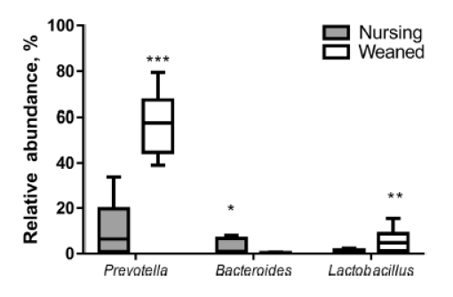 The relative abundance of the significantly different taxa between Nursing and Weaned piglets at the genus level. The interquartile range is indicated by the outer bounds of the boxes, and the median is indicated by the black midline. The whiskers represent the minimum and maximum values. The [P < 0.001], [P < 0.01] and [P < 0.05] were indicated as [***], [**] and [*], respectively (from Guevarra et al., 2018). 