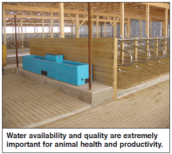 Quantity and Quality of Water for Dairy Cattle - Image 1