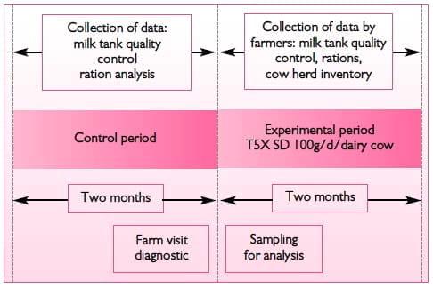 Performance of dairy cows facing suspected mycotoxin problems - Image 2