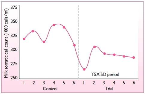 Performance of dairy cows facing suspected mycotoxin problems - Image 6
