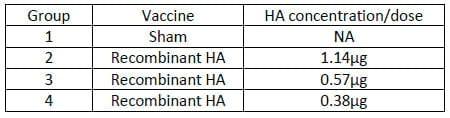 Rapid Development of an Efficacious Swine Vaccine for Novel H1N1 - Image 2