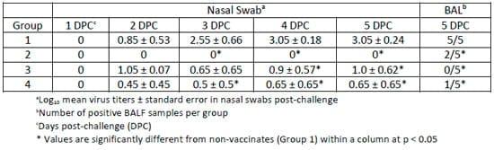 Rapid Development of an Efficacious Swine Vaccine for Novel H1N1 - Image 4