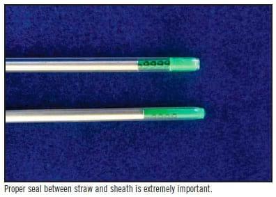 Handling of Frozen Semen Straws - Image 19