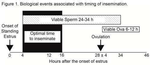 Heat Detection and Timing of Artificial Insemination - Image 1