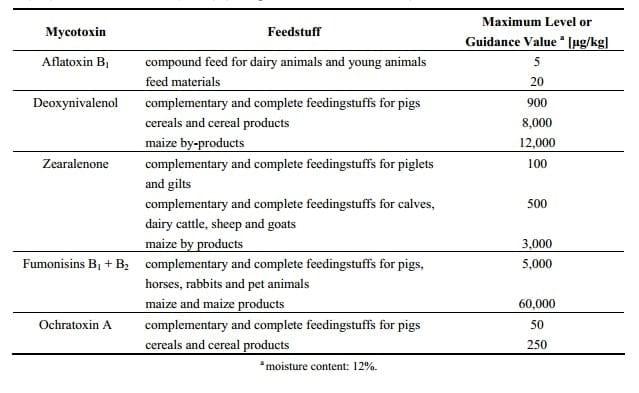 Current Situation of Mycotoxin Contamination and Co-occurrence in Animal Feed—Focus on Europe - Image 1