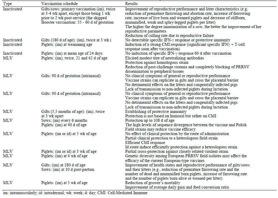 Porcine Respiratory and Reproductive Syndrome Virus Vaccinology: a Review for Commercial Vaccines - Image 3
