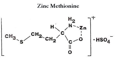 The Importance of Zinc in Animal Health - Image 5