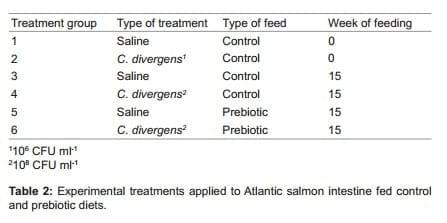 Evaluation of Prebiotic and Probiotic Effects on the Intestinal Gut Microbiota and Histology of Atlantic salmon (Salmo salar L.) - Image 2