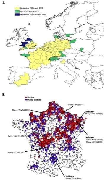 Epidemiology, Molecular Virology and Diagnostics of Schmallenberg Virus, an Emerging Orthobunyavirus in Europe - Image 3