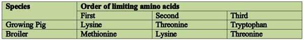 Amino Acids in Swine Nutrition - Image 3