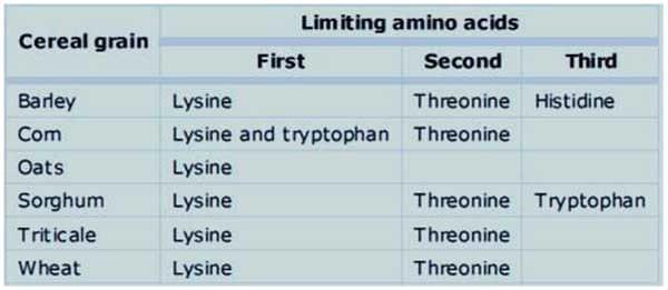 Amino Acids in Swine Nutrition - Image 4