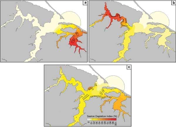 Spatially explicit seston depletion index to optimize shellfish culture - Image 11