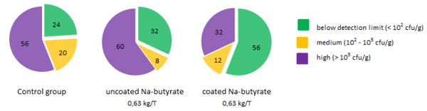 Butyrate: Feeding the Gut and Beyond for Animal Health - Image 3