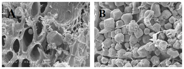 The interaction between cereal quality and enzyme use in animal feed - Image 1