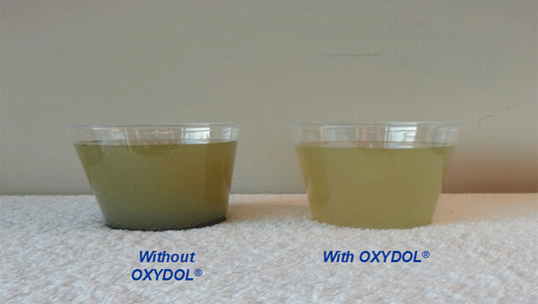 Effect of Incorporating “OXYDOL®” in White Shrimp Farming Ponds Litopenaeus vannamei over Production and Physical-Chemical Parameters - Image 8