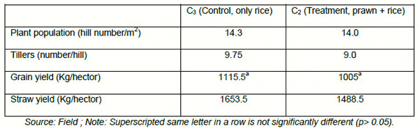 Economics and Productivity of Rice Cum Freshwater Prawn (MACROBRACHIUM ROSENBERGII) in the Gher Farming System - Image 12
