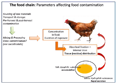 The future of poultry production: Meeting the challenges of food safety and food security with declining resources - Image 4