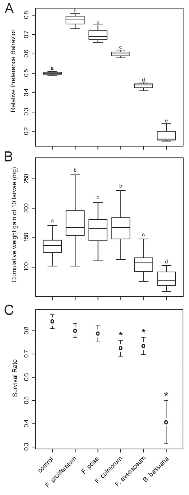 Effect of Fungal Colonization of Wheat Grains with Fusarium spp. on Food Choice, Weight Gain and Mortality of Meal Beetle Larvae (Tenebrio molitor) - Image 2