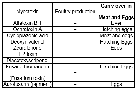 Effect of Mycotoxins on Poultry Industry and Practical Solutions - Image 8