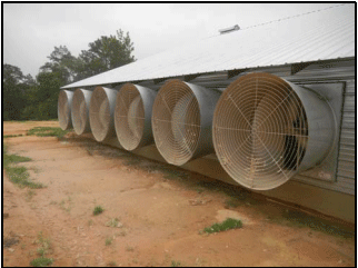 Why Tunnel Fans with Butterfly Shutters may not be a Good Investment? - Image 5