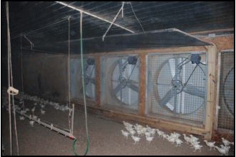 Why Tunnel Fans with Butterfly Shutters may not be a Good Investment? - Image 13