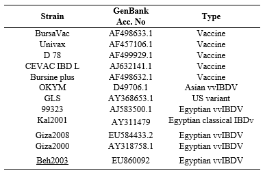 Prevalence of Very Virulent Infectious Bursal Disease Virus (IBDV) in Egyptian Delta - Image 1