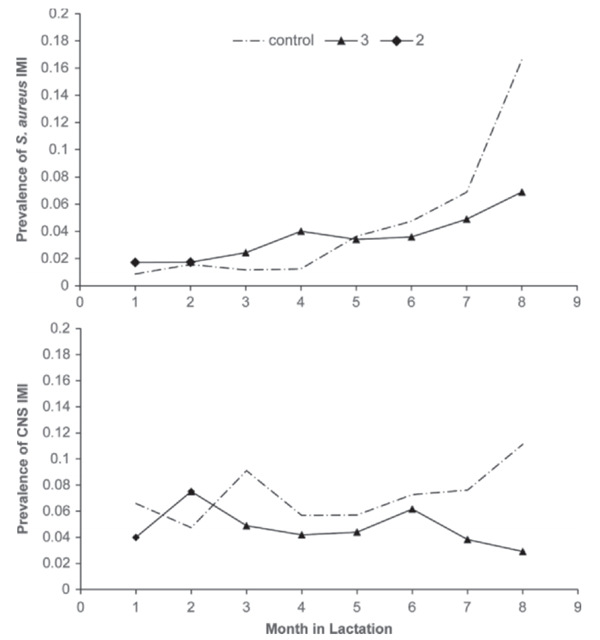 Efficacy of vaccination on Staphylococcus aureus and coagulase-negative staphylococci intramammary infection dynamics in 2 dairy herds - Image 6