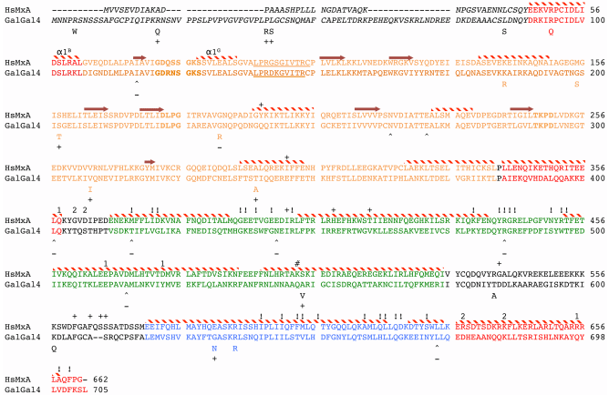 Genetic Variation within the Mx Gene of Commercially Selected Chicken Lines Reveals Multiple Haplotypes, Recombination and a Protein under Selection Pressure - Image 13