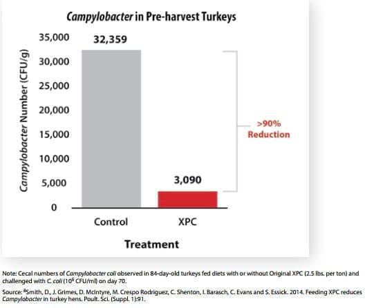 Pre-harvest reduction of foodborne pathogens in food animals - Image 5