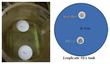 Attractability of probiotic-coated shrimp feed - Image 1