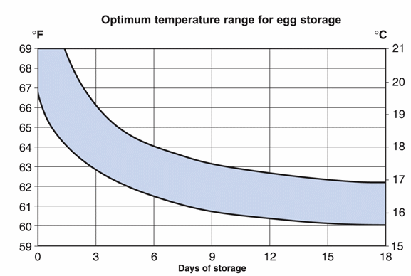 Hatching egg handling and storage and the effects on hatchability and embryo livability - Image 1