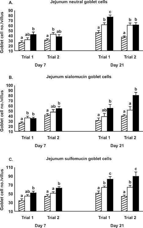 Gastrointestinal Maturation is Accelerated in Turkey Poults Supplemented with a Mannan-Oligosaccharide Yeast Extract (Alphamune) - Image 7