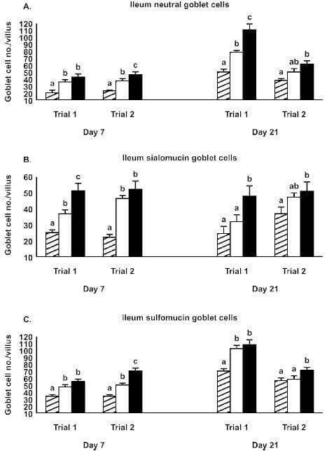 Gastrointestinal Maturation is Accelerated in Turkey Poults Supplemented with a Mannan-Oligosaccharide Yeast Extract (Alphamune) - Image 3