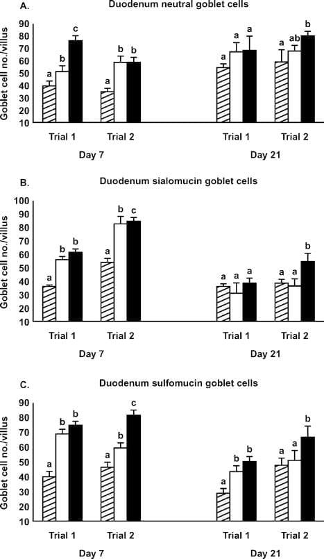 Gastrointestinal Maturation is Accelerated in Turkey Poults Supplemented with a Mannan-Oligosaccharide Yeast Extract (Alphamune) - Image 8