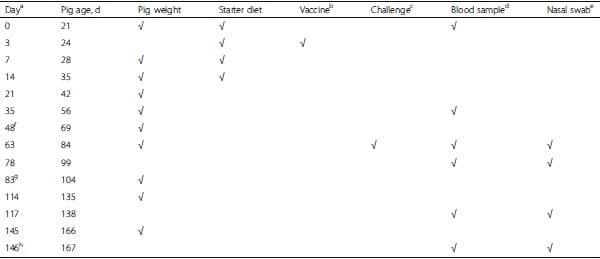 Influence of spray dried porcine plasma in starter diets associated with a conventional vaccination program on wean to finish performance - Image 7
