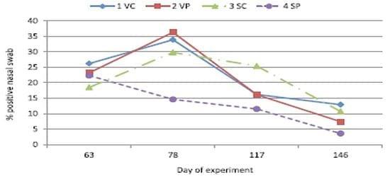 Influence of spray dried porcine plasma in starter diets associated with a conventional vaccination program on wean to finish performance - Image 6