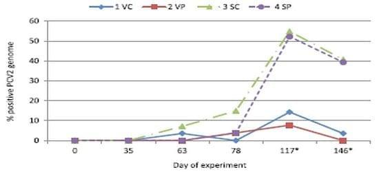 Influence of spray dried porcine plasma in starter diets associated with a conventional vaccination program on wean to finish performance - Image 4