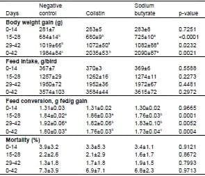 Effect of Partially Protected Sodium Butyrate on Performance, Digestive Organs, Intestinal Villi and E. coli Development in Broilers Chickens - Image 2