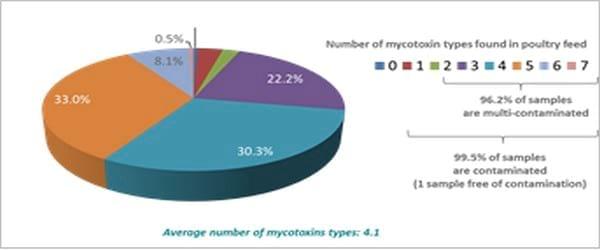 Pancosma & Associates’ 2015 survey: threat of multi-mycotoxin contamination - Image 5